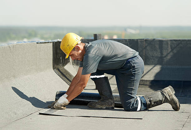 Best Eco-Friendly Insulation in Pahokee, FL